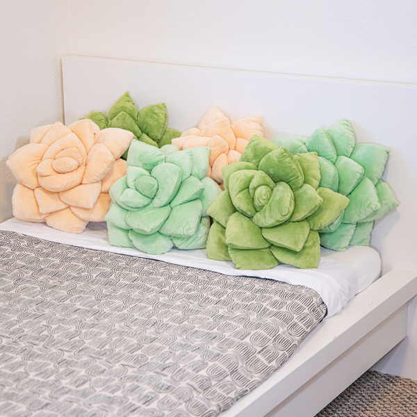 Lil' Pop Succulent® - Blush Peach