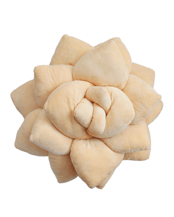 Big Pop Succulent® - Blush Peach