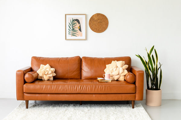 Big Pop Succulent® - Blush Peach