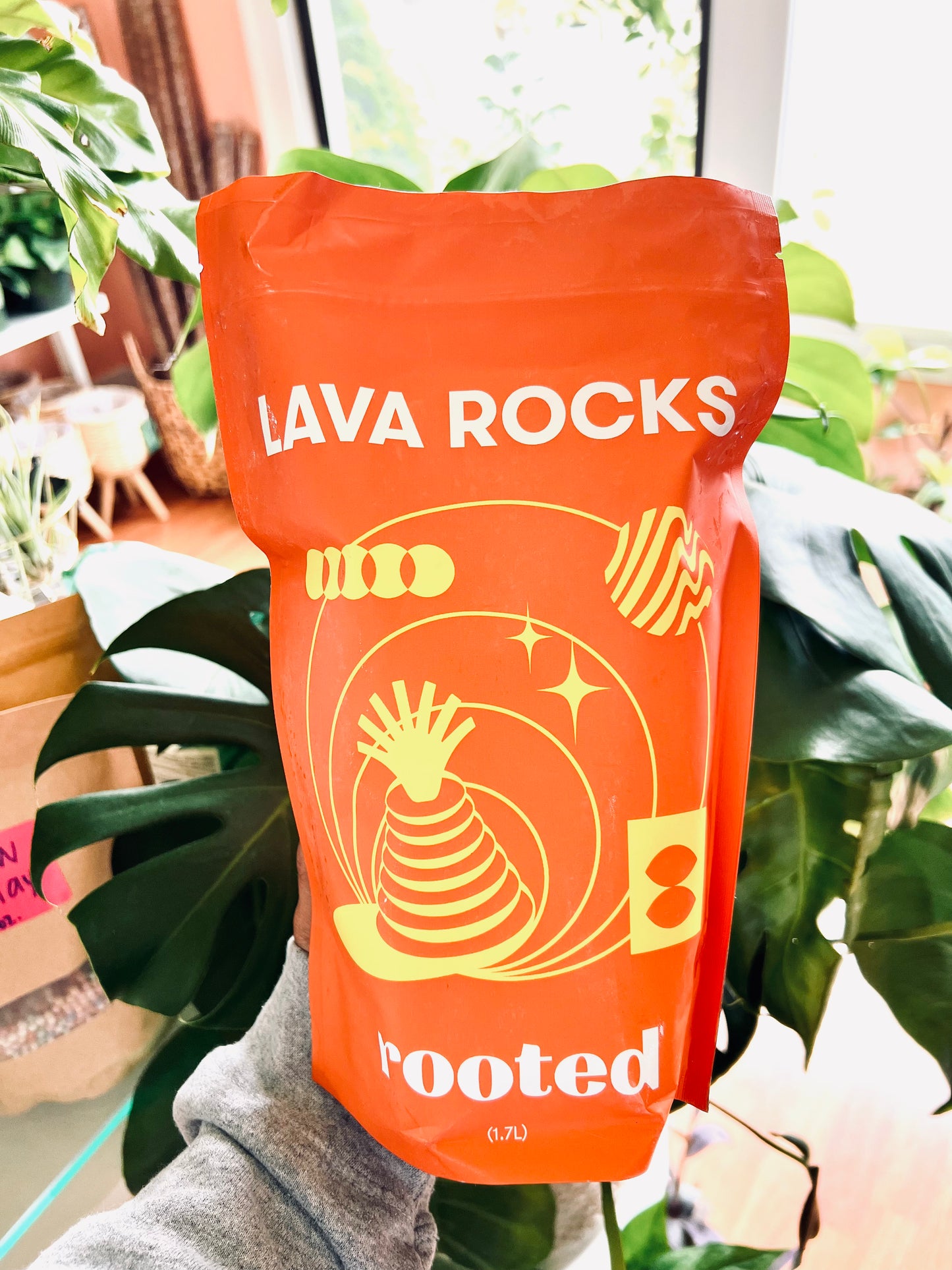 Volcanic Lava Rocks