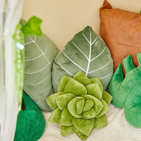 Lil' Pop Succulent®  - Olive Green