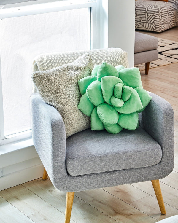Lil' Pop Succulent®  - Sage Green