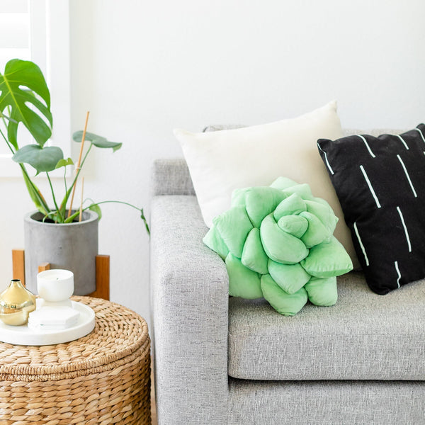 Lil' Pop Succulent®  - Sage Green