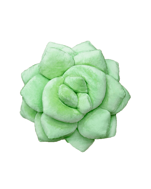 Lil' Pop Succulent®  - Sage Green
