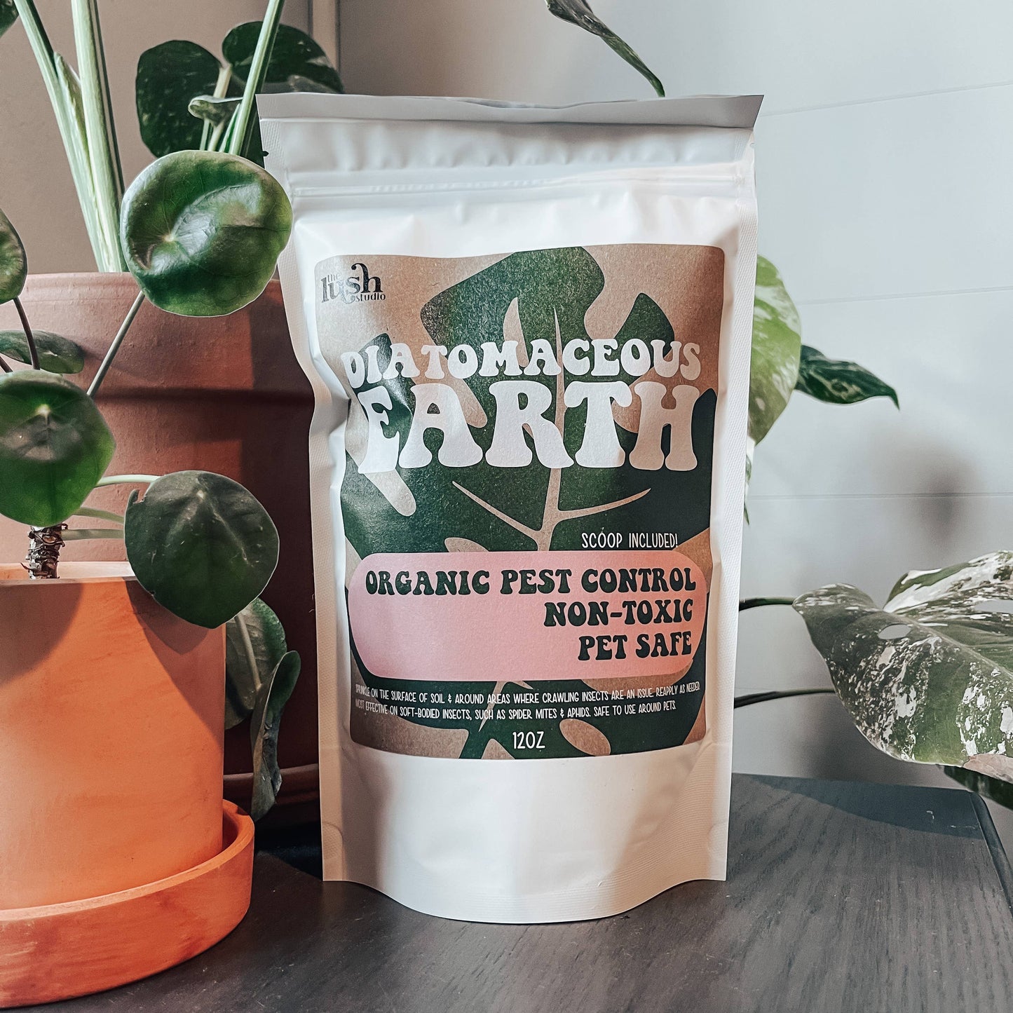 Diatomaceous Earth