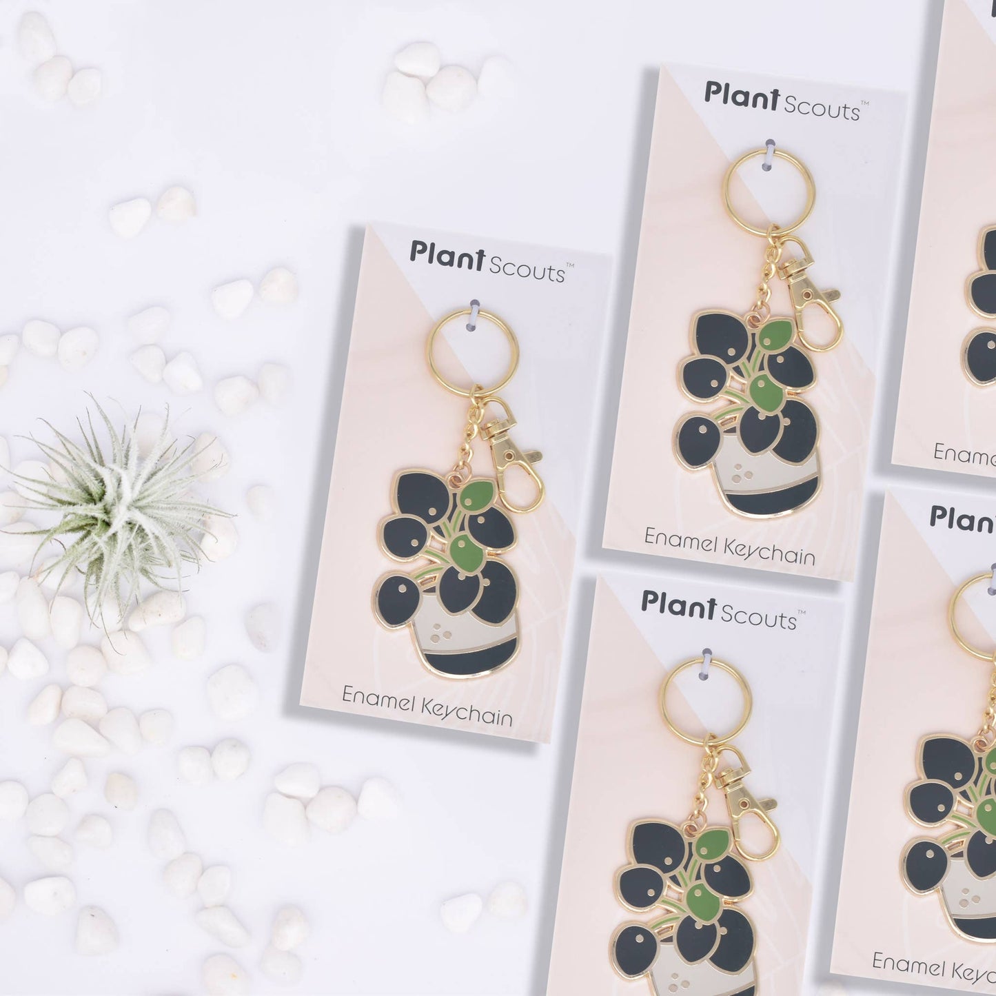 Pilea Keychain - Pilea peperomioides - Chinese money plant