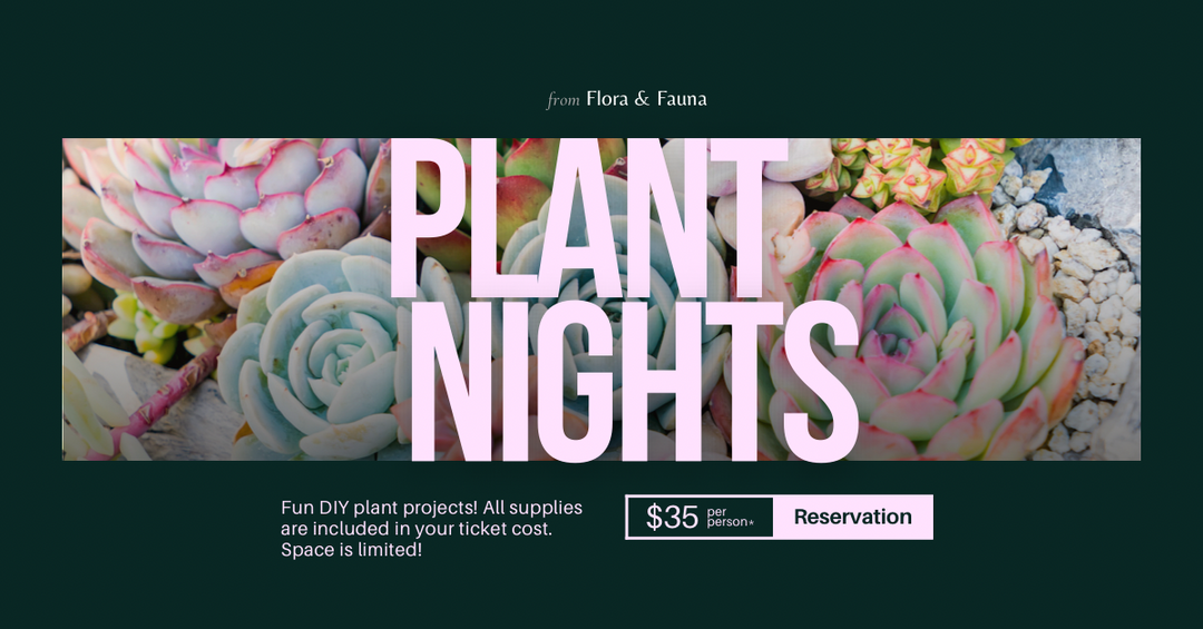 Plant Nights