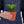Snake Plant Black Robusta