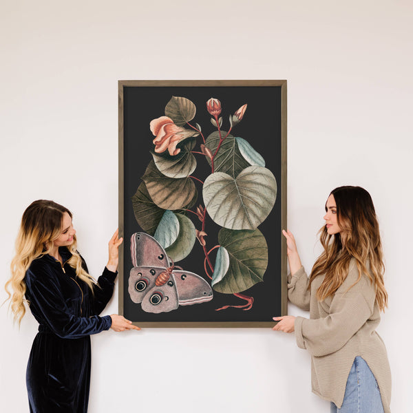 Dark Moth Botanical - Framed Nature Art - Large Wall Art: 12x18" Medium Canvas Art with Thick Wood Frame