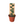 Rhaphidophora 'Hayi' (Shingle Plant)