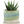 Cement Green Ceramic Plant Pot and Saucer
