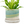 Cement Green Ceramic Plant Pot and Saucer