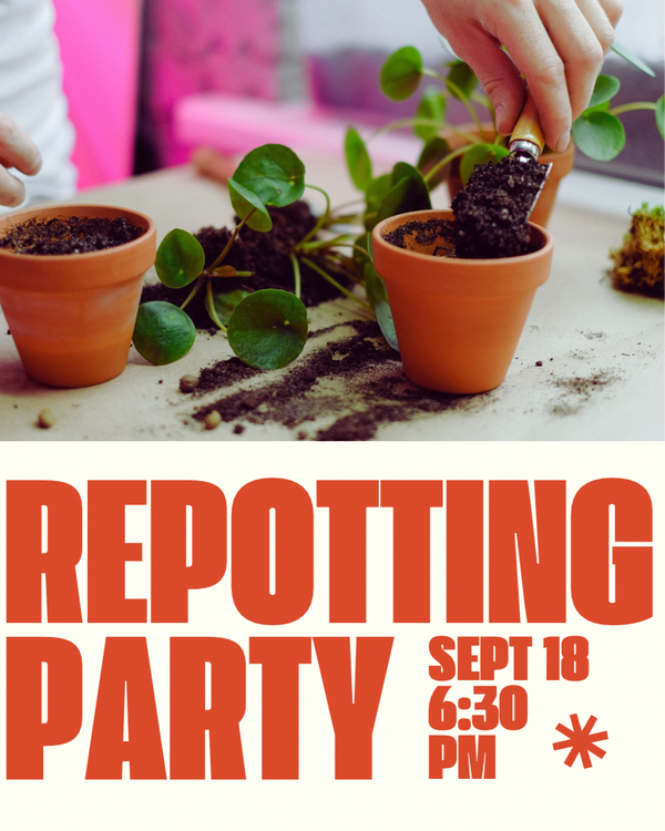 Repotting Party