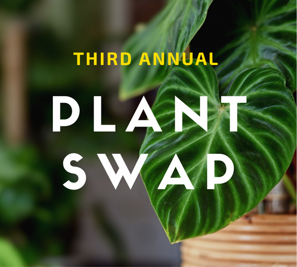 Third Annual Plant Swap