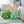 Lil' Pop Succulent®  - Sage Green