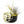 Large Fully Assembled Air Plant Bowl Garden