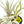 Large Fully Assembled Air Plant Bowl Garden