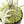 Large Fully Assembled Air Plant Bowl Garden