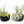 Large Fully Assembled Air Plant Bowl Garden