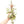 Tillandsia Streptophylla Air Plants  - Multiple Sizes