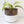 Bronze White Ceramic Plant Pot and Saucer