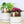 Bronze White Ceramic Plant Pot and Saucer