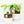 Bronze White Ceramic Plant Pot and Saucer