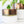 Bronze White Ceramic Plant Pot and Saucer