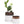 Bronze White Ceramic Plant Pot and Saucer