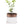 Bronze White Ceramic Plant Pot and Saucer