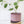 Burgundy Ceramic Plant Pot and Saucer