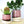 Burgundy Ceramic Plant Pot and Saucer