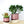Burgundy Ceramic Plant Pot and Saucer