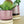 Burgundy Ceramic Plant Pot and Saucer