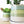 Cement Green Ceramic Plant Pot and Saucer