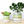 Cement Green Ceramic Plant Pot and Saucer