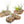 Small Tabletop Cork Bark Display with 2 Tillandsia Air Plants