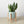 Cylinder Planter with Wood Stand - 5