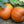 Pumpkin - Jack 'O Lantern