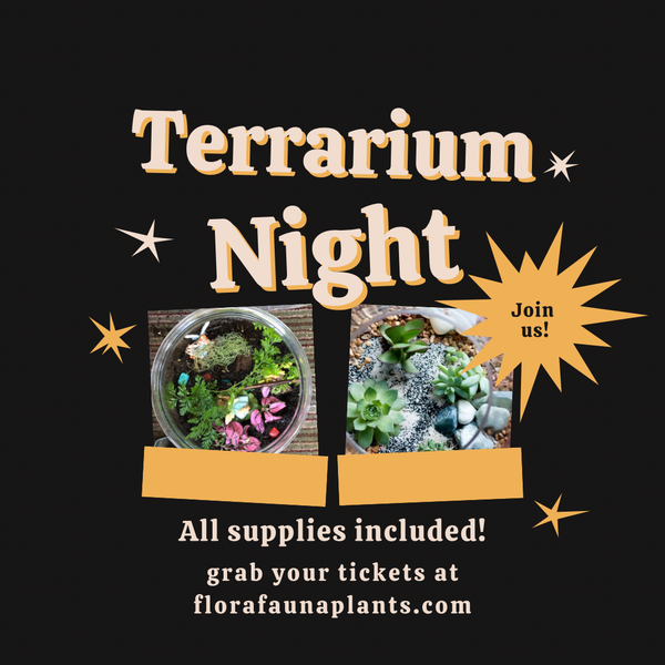 Terrarium Night at Terramar Brewstillery