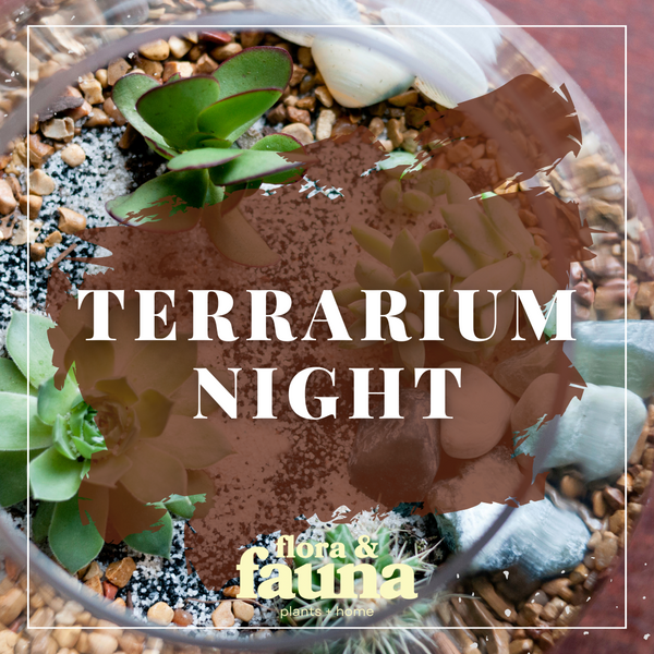 Terrarium Night at Scuttlebutt Taproom