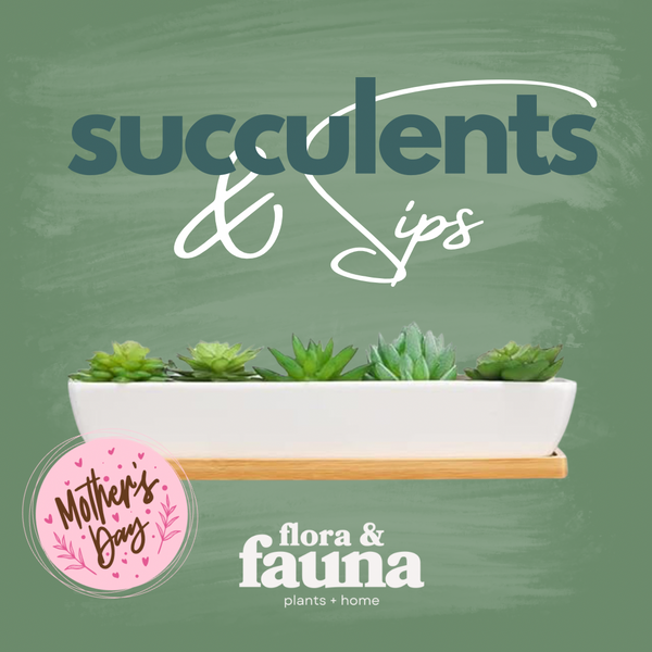 Succulents & Sips Mother’s Day at Scuttlebutt Taproom