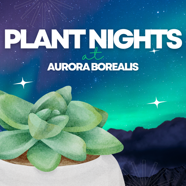 Plant Nights at Aurora Borealis