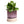 Burgundy Ceramic Plant Pot and Saucer