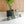 Moss Pole MODULAR
