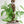 Moss Pole MODULAR