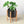 Cylinder Planter with Wood Stand - 5