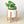 Cylinder Planter with Wood Stand - 5