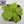 Pinguicula 