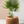 Honeycomb Planter